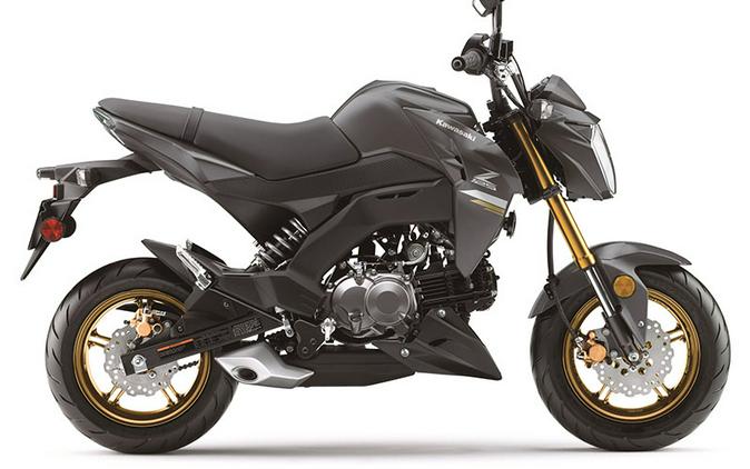 2024 Kawasaki Z125 PRO Base