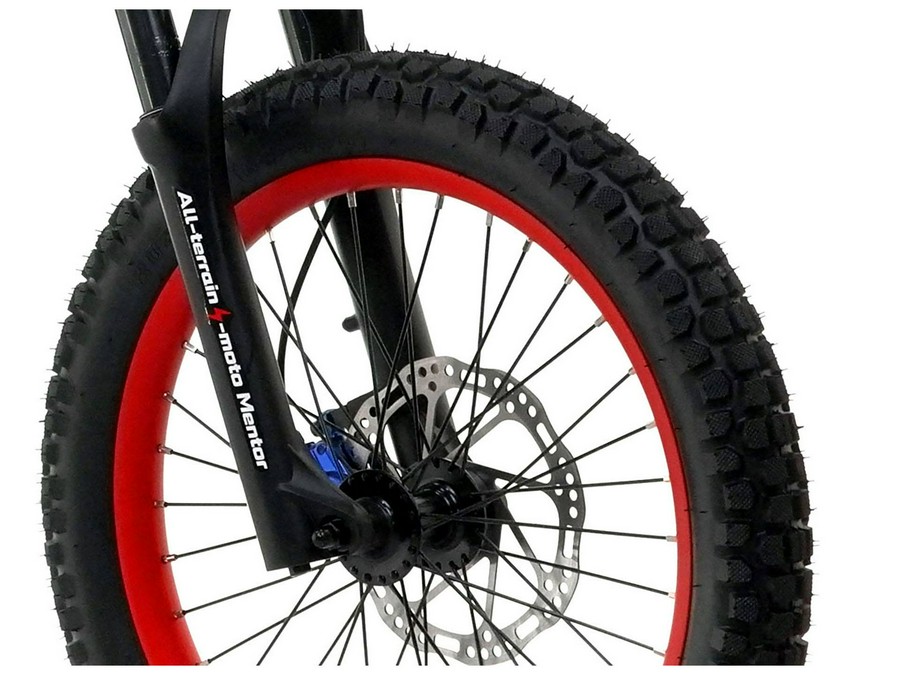 2024 Beta eKinder Race 16 in.