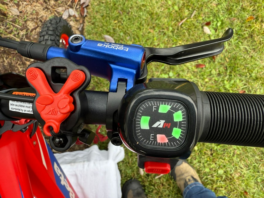 2024 Beta eKinder Race 16 in.