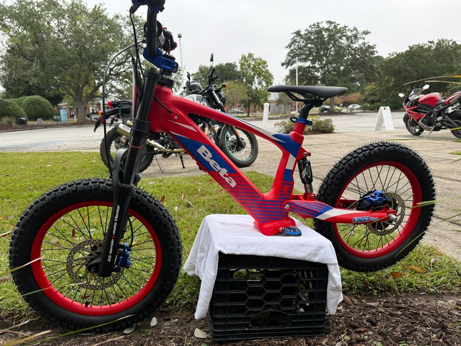 2024 Beta eKinder Race 16 in.