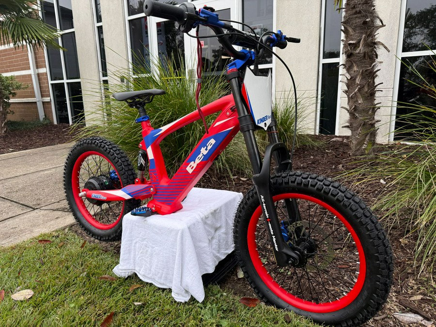 2024 Beta eKinder Race 16 in.