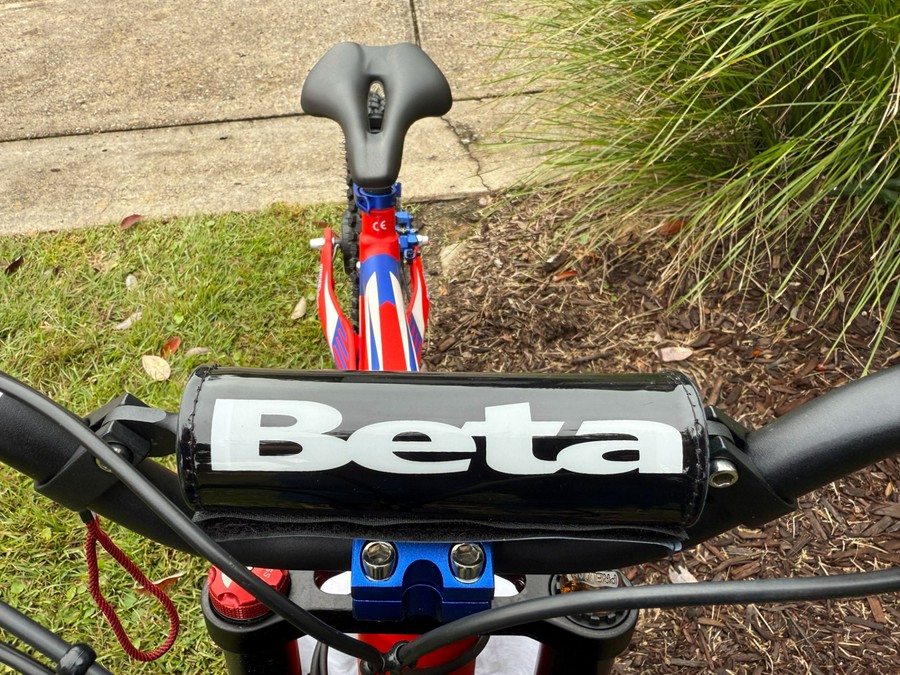 2024 Beta eKinder Race 16 in.