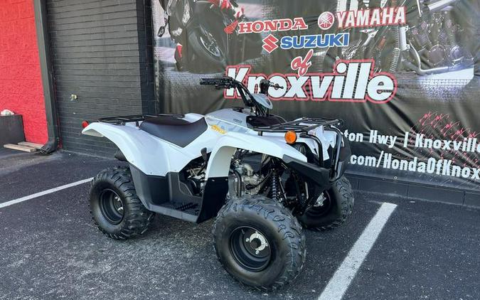 2024 Yamaha Grizzly 90