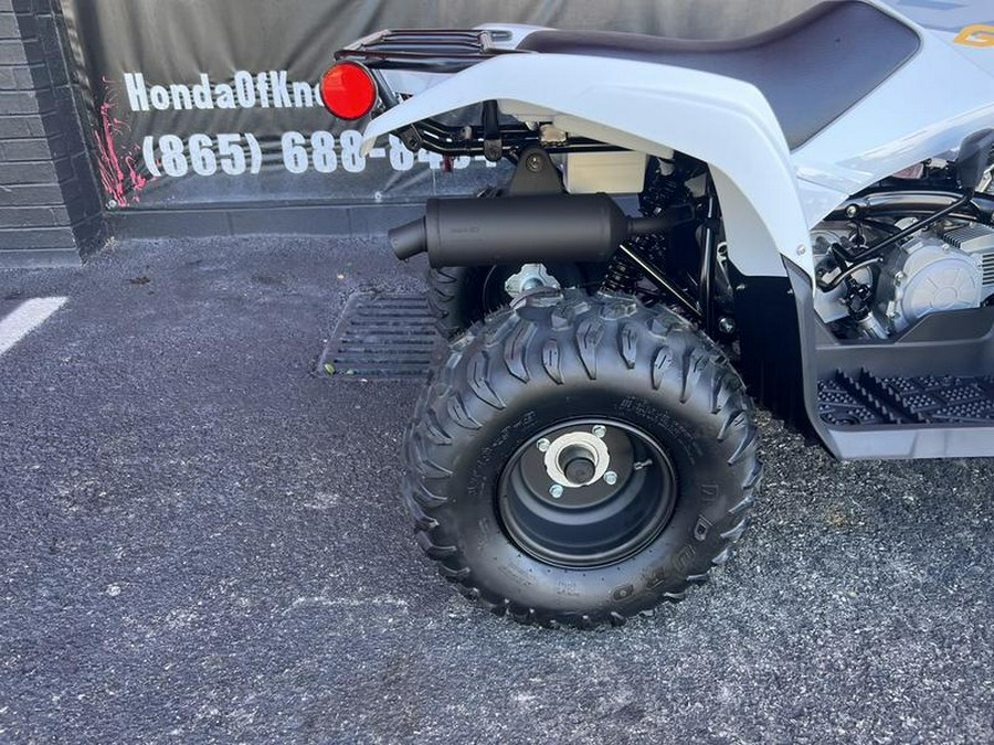 2024 Yamaha Grizzly 90