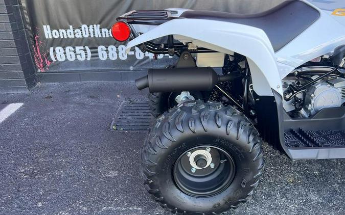 2024 Yamaha Grizzly 90