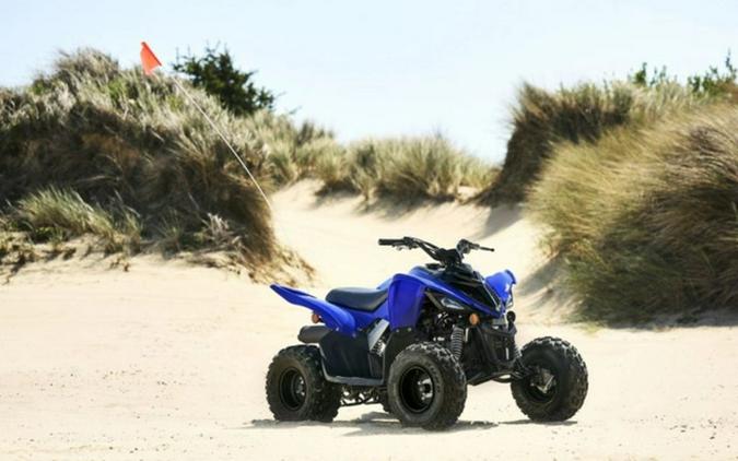 2024 Yamaha Raptor 110