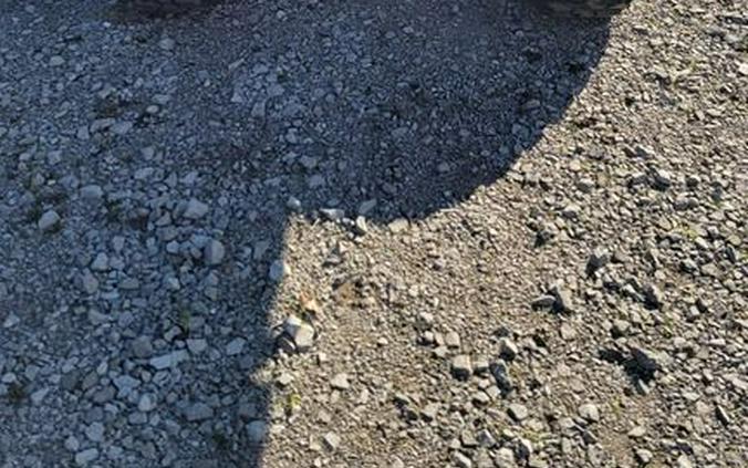 2026 Can-Am® Defender XT HD9 Dark Wildland Camo