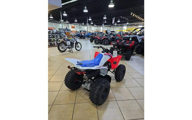 2026 Honda TRX250X