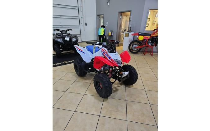 2026 Honda TRX250X