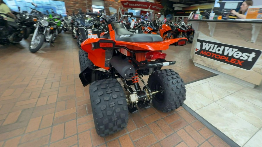 2026 Can-Am DS 250-4ST