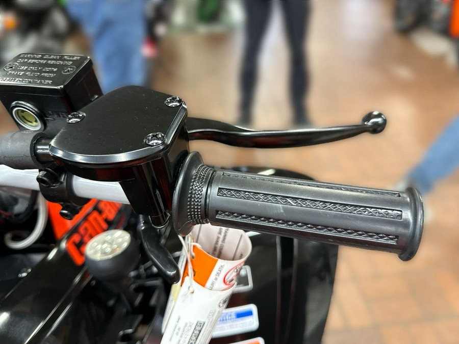 2026 Can-Am DS 250-4ST