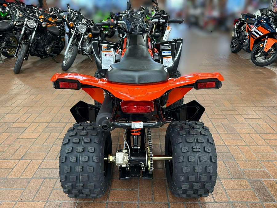 2026 Can-Am DS 250-4ST