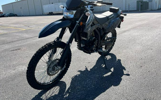2020 Kawasaki KLX® 250