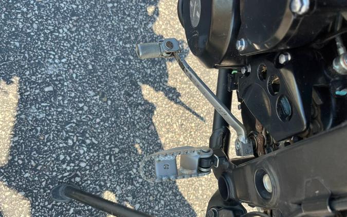 2020 Kawasaki KLX® 250