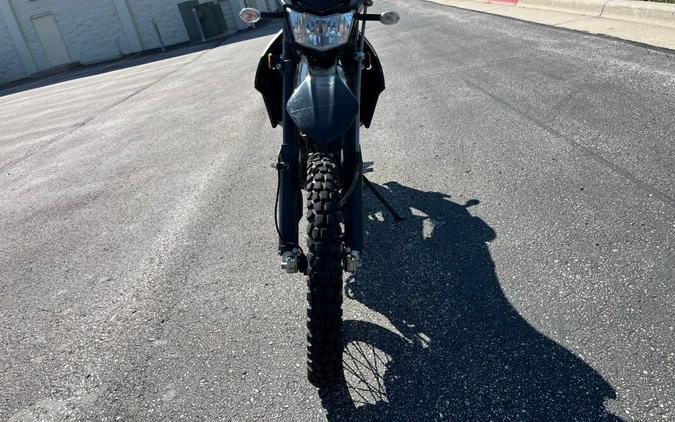 2020 Kawasaki KLX® 250