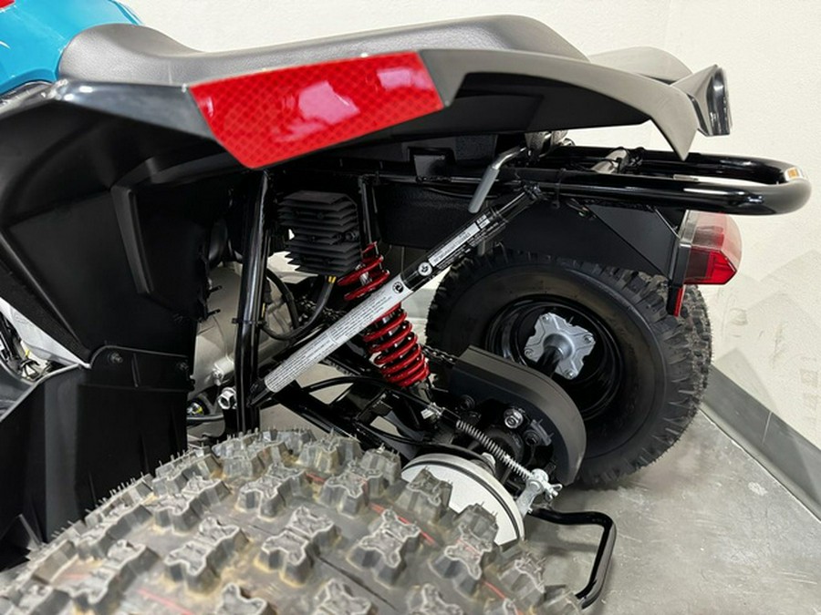 2026 Can-Am Renegade 110 EFI
