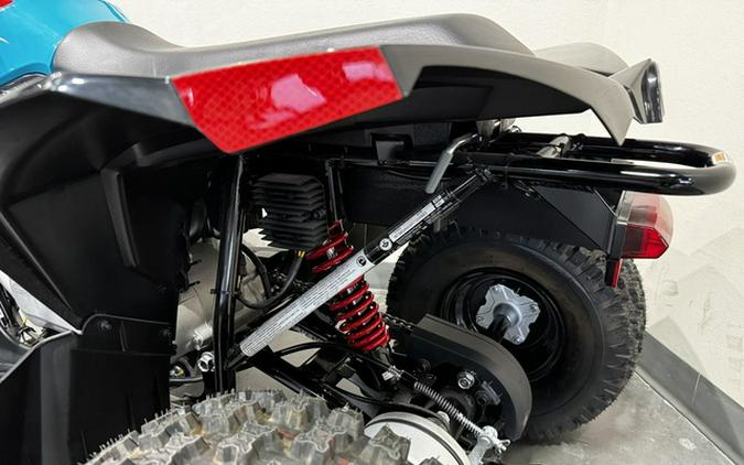 2026 Can-Am Renegade 110 EFI