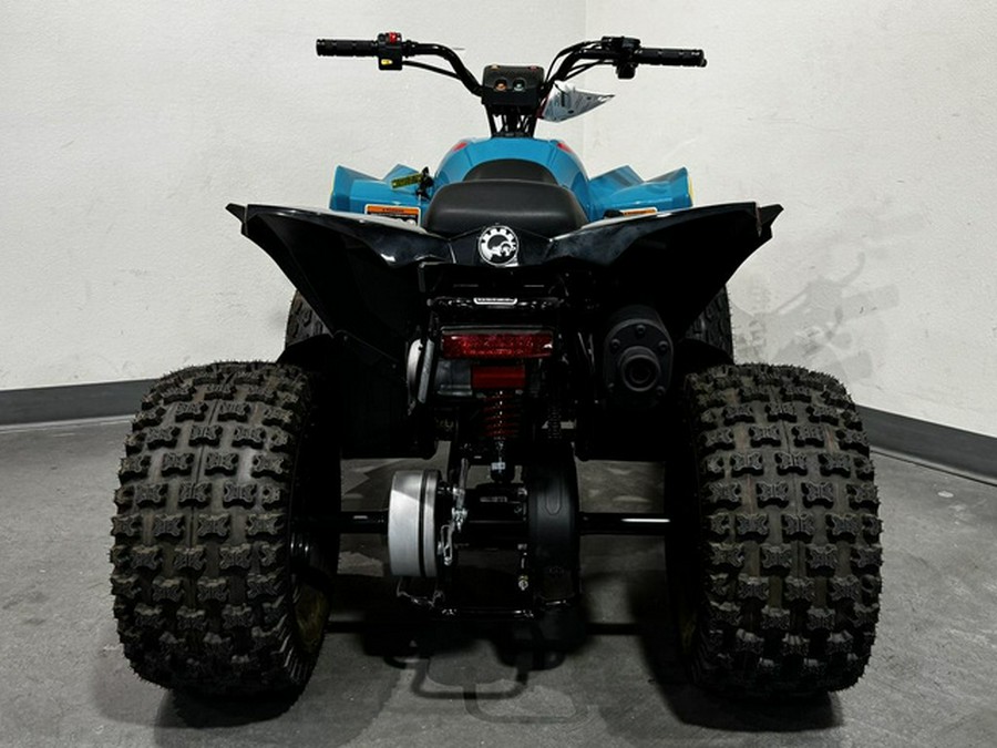 2026 Can-Am Renegade 110 EFI