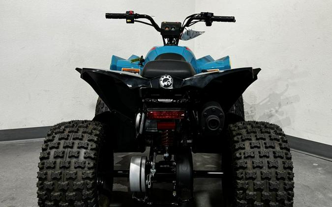 2026 Can-Am Renegade 110 EFI