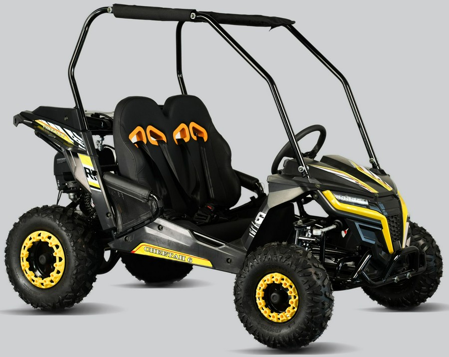 2025 Trail Master Cheetah 6