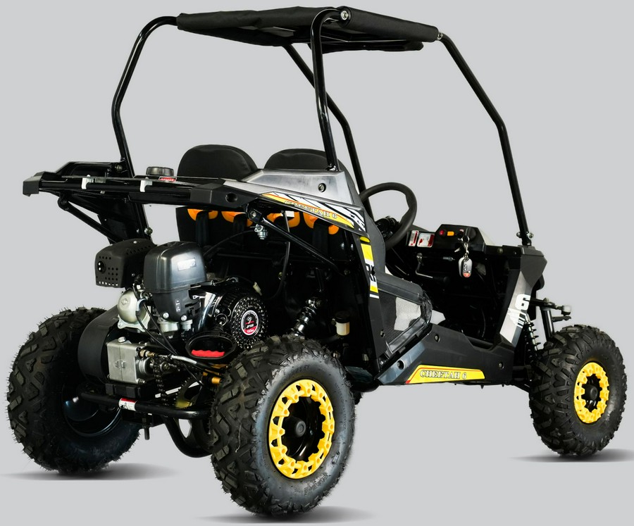 2025 Trail Master Cheetah 6