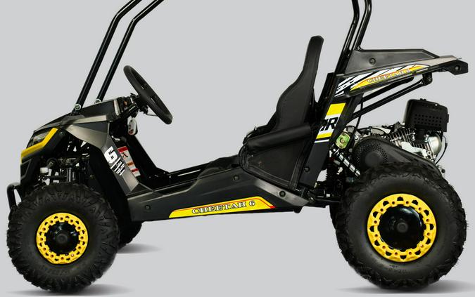 2025 Trail Master Cheetah 6