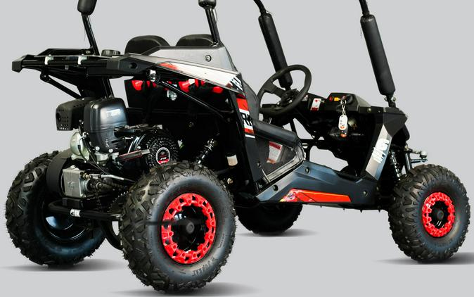 2025 Trail Master Cheetah 6