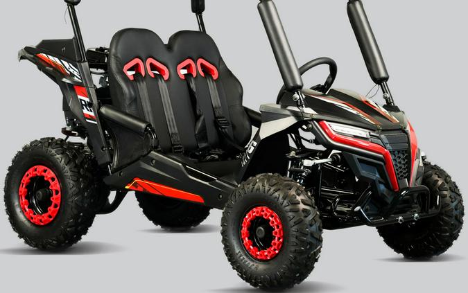 2025 Trail Master Cheetah 6