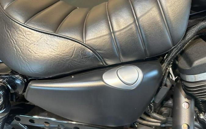 2021 Harley-Davidson® XL883N - Iron 883™