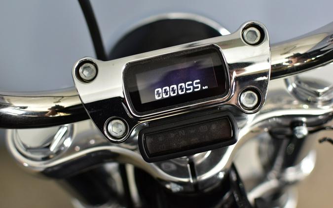 2024 Harley-Davidson Softail Standard