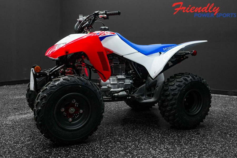 2026 HONDA TRX250XT