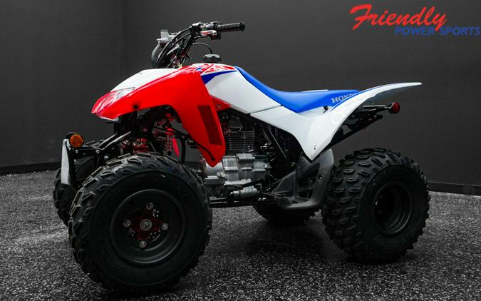 2026 HONDA TRX250XT