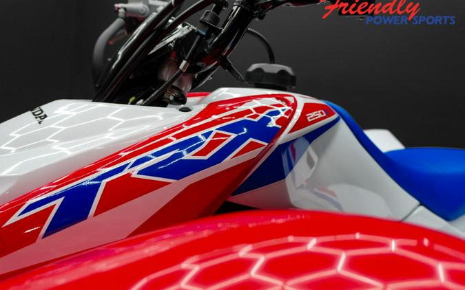 2026 HONDA TRX250XT