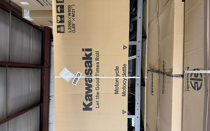 2026 Kawasaki Brute Force® 300