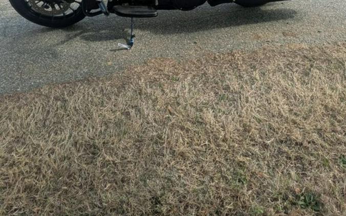 2018 Harley-Davidson Street Glide® Special