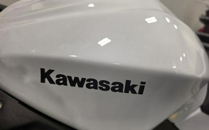 2026 Kawasaki Ninja 300 ABS