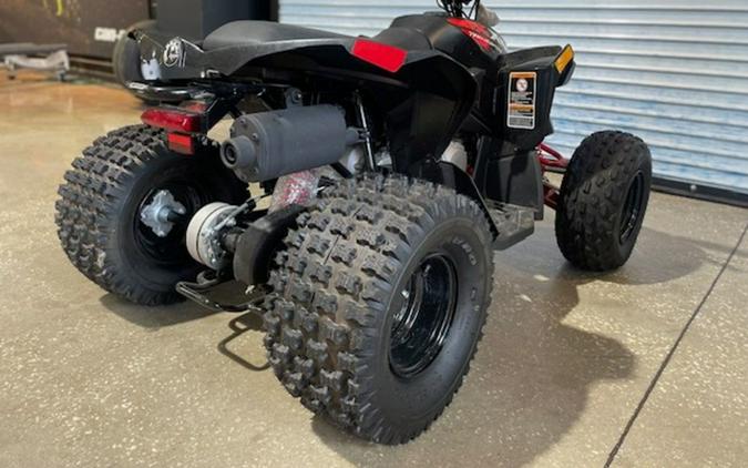 2024 Can-Am Renegade X xc 110 EFI