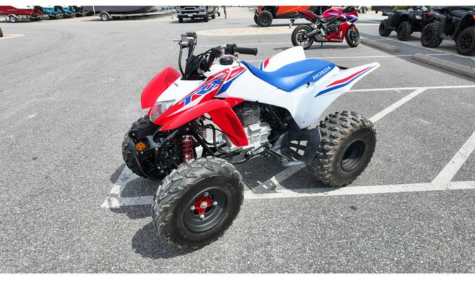 2024 TRX250 - Honda