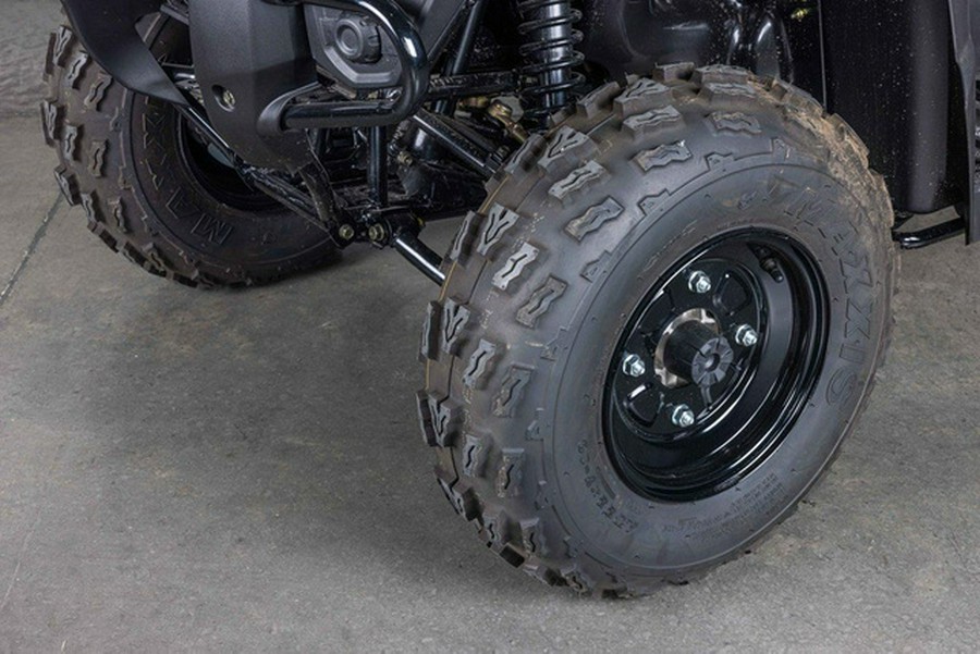 2025 Kawasaki Brute Force 300