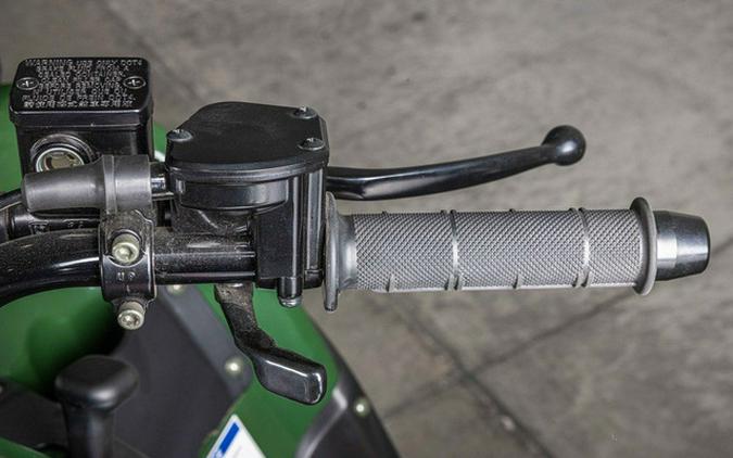 2025 Kawasaki Brute Force 300