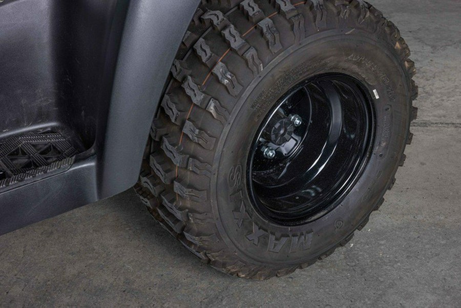 2025 Kawasaki Brute Force 300