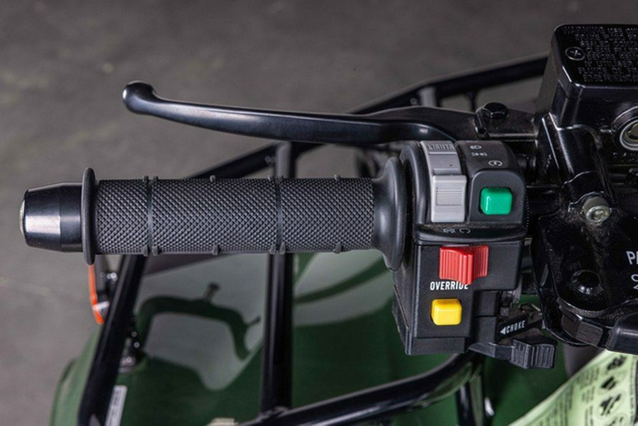 2025 Kawasaki Brute Force 300