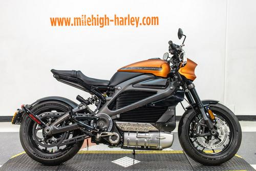 2020 Harley-Davidson LiveWire First Ride