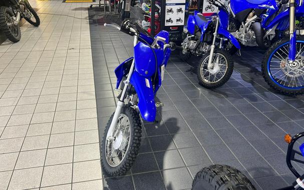 2024 Yamaha TT-R110