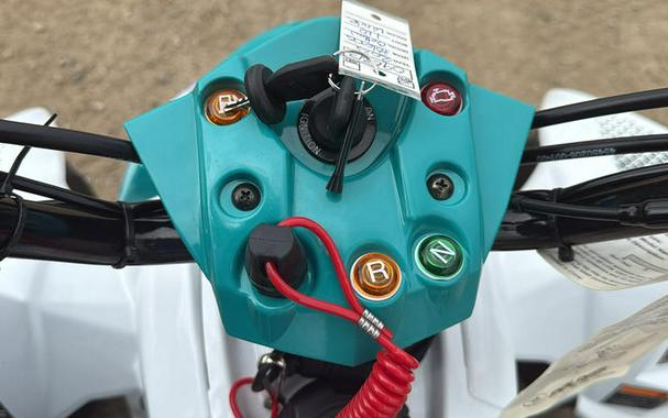 2025 Polaris® Outlaw 110 EFI