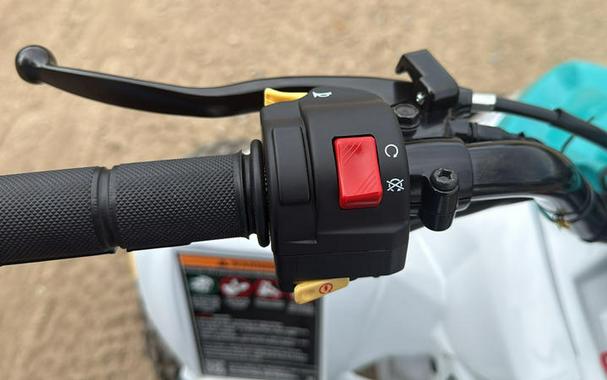 2025 Polaris® Outlaw 110 EFI