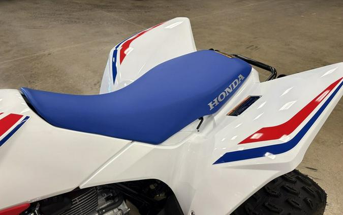 2025 Honda TRX250X