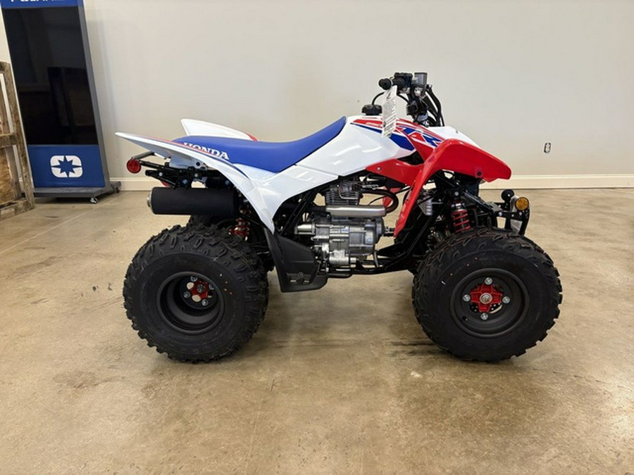 2025 Honda TRX250X