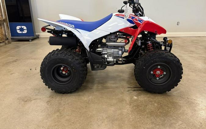 2025 Honda TRX250X