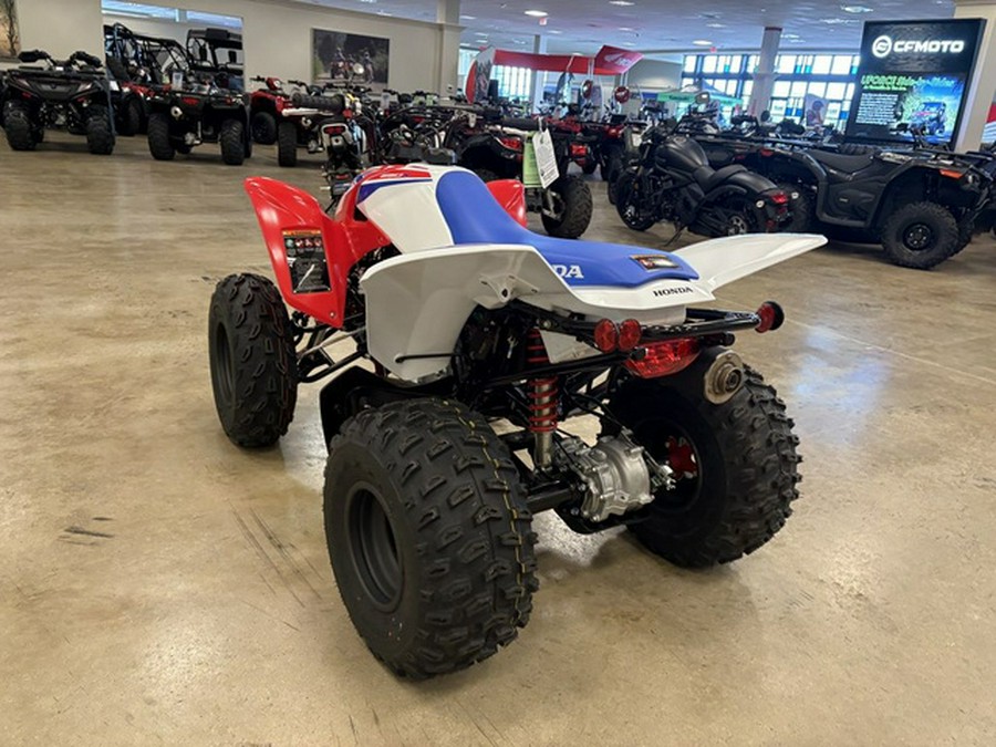 2025 Honda TRX250X